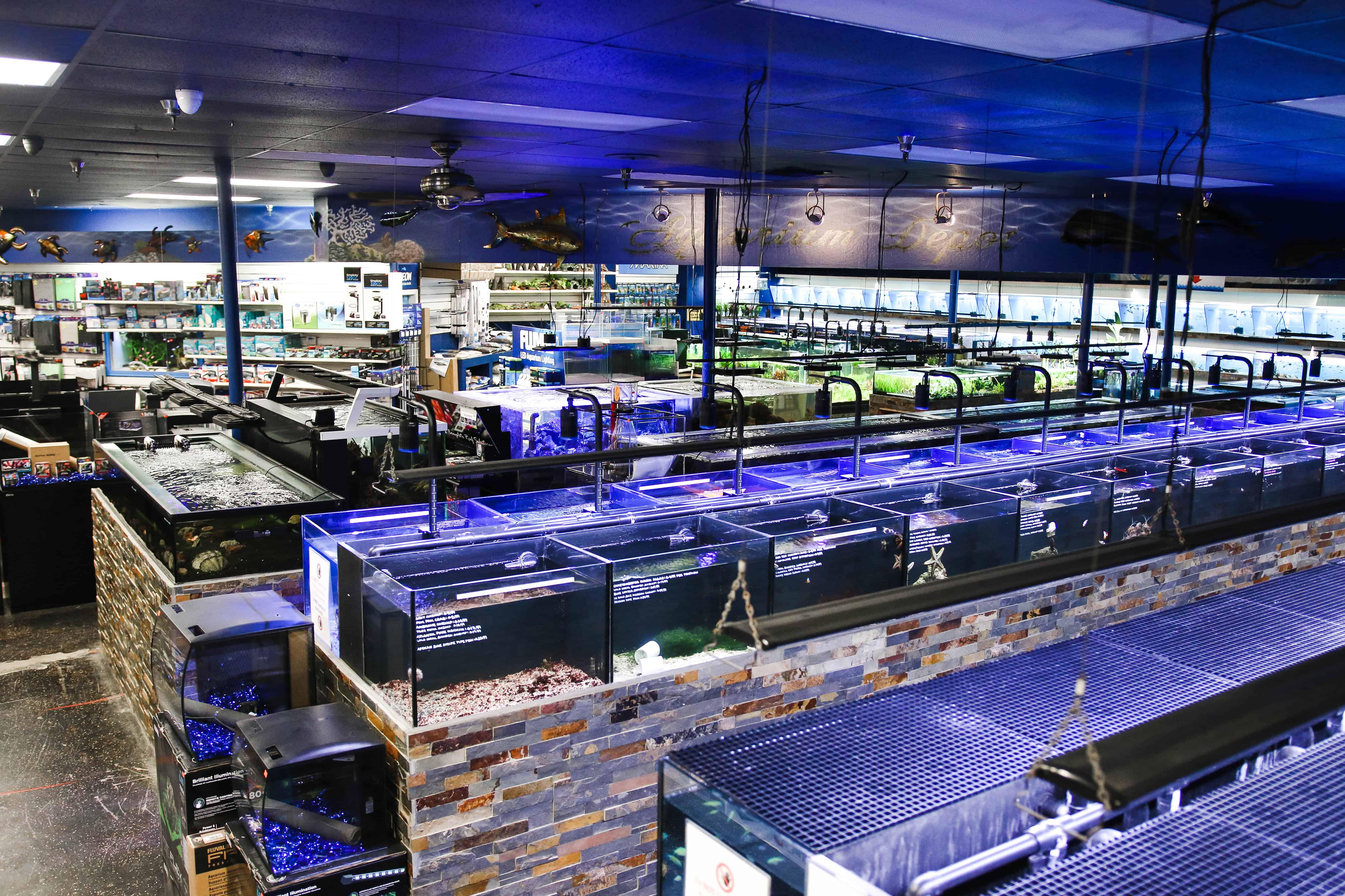Aquarium Depot For All Your Aquatic And Reptile Needs