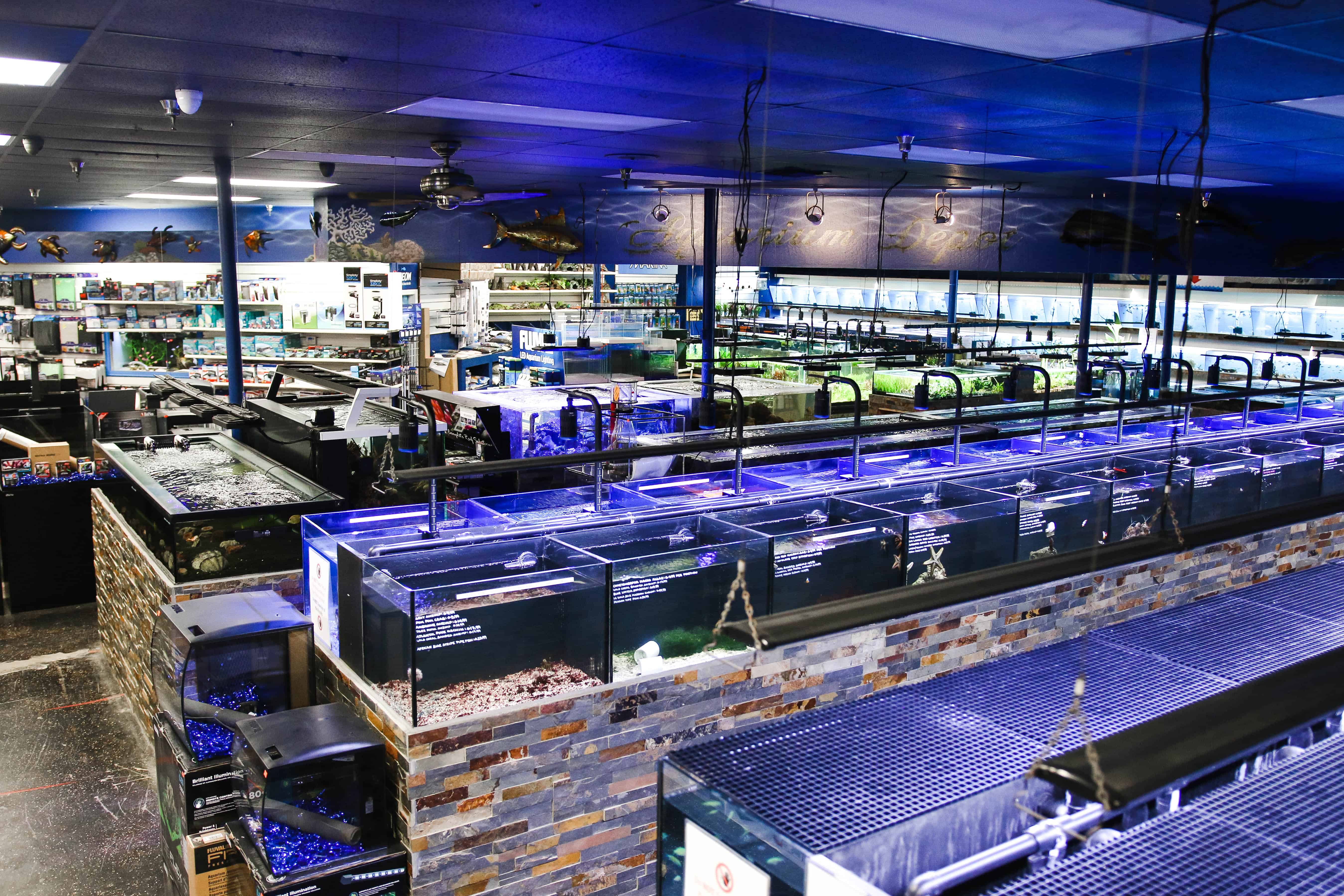 Aquarium Depot - Image3